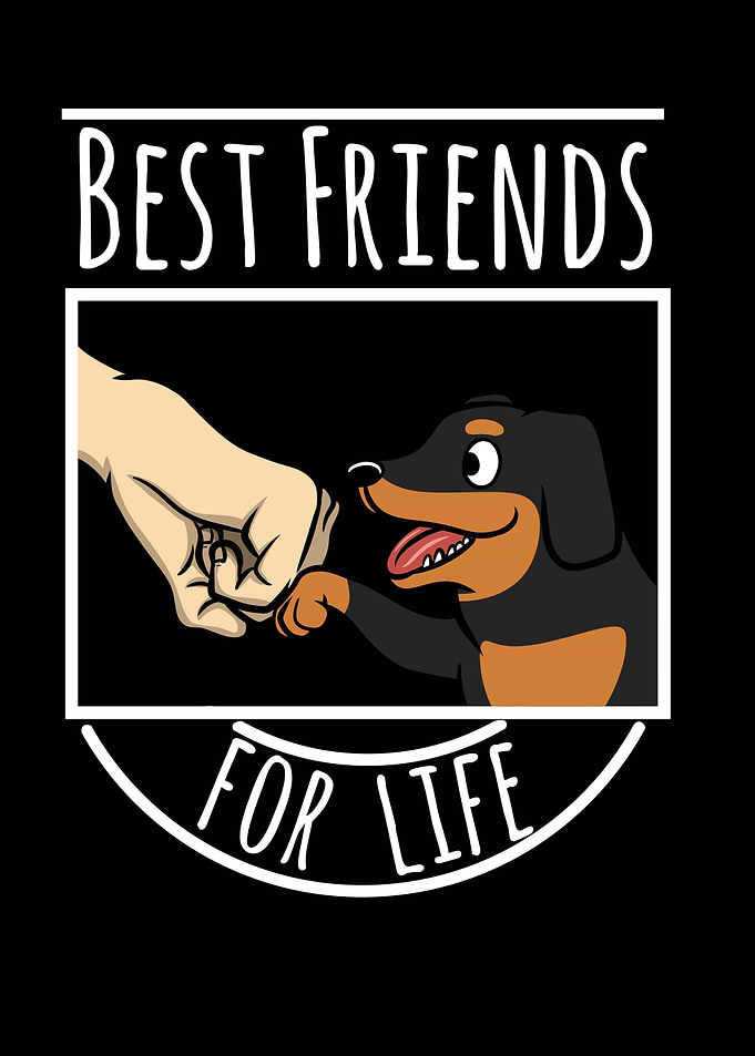 Dachshund Best Friends