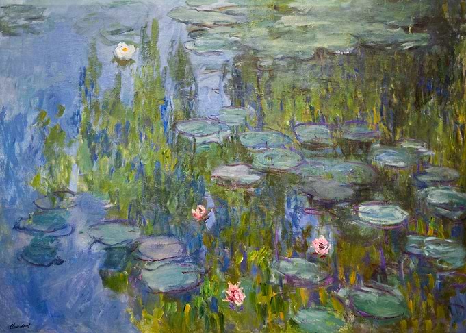 Water Lilies