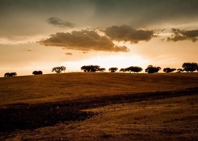 Xistos Sunset I
