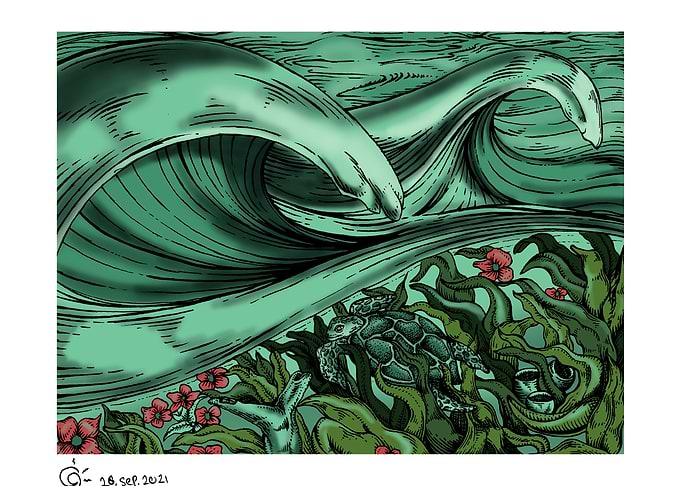 TURTLE SURF IN THE WAVE