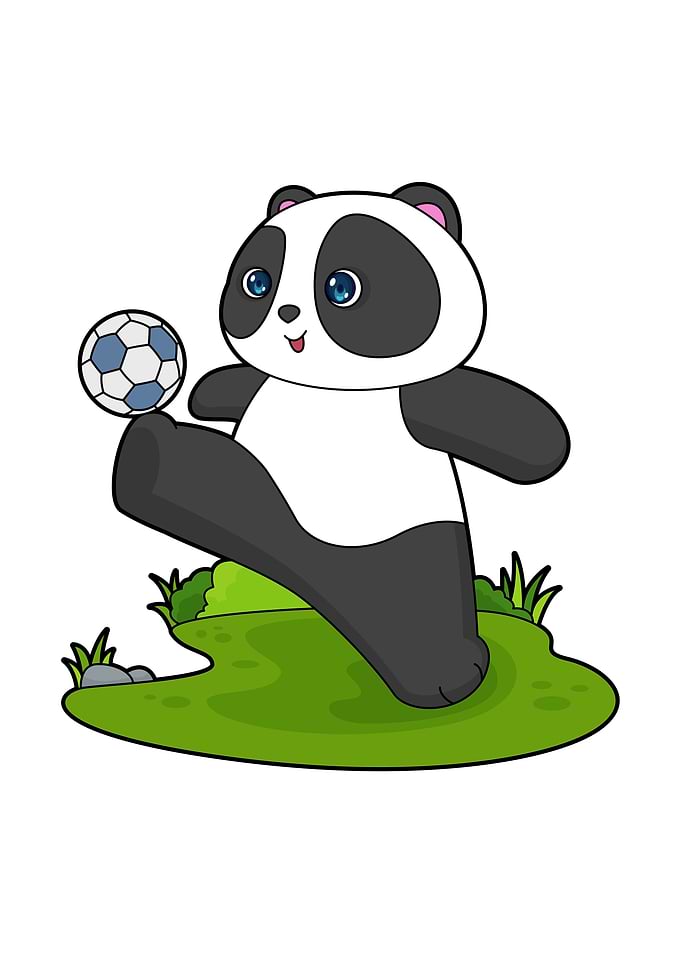 Panda Soccer Sports