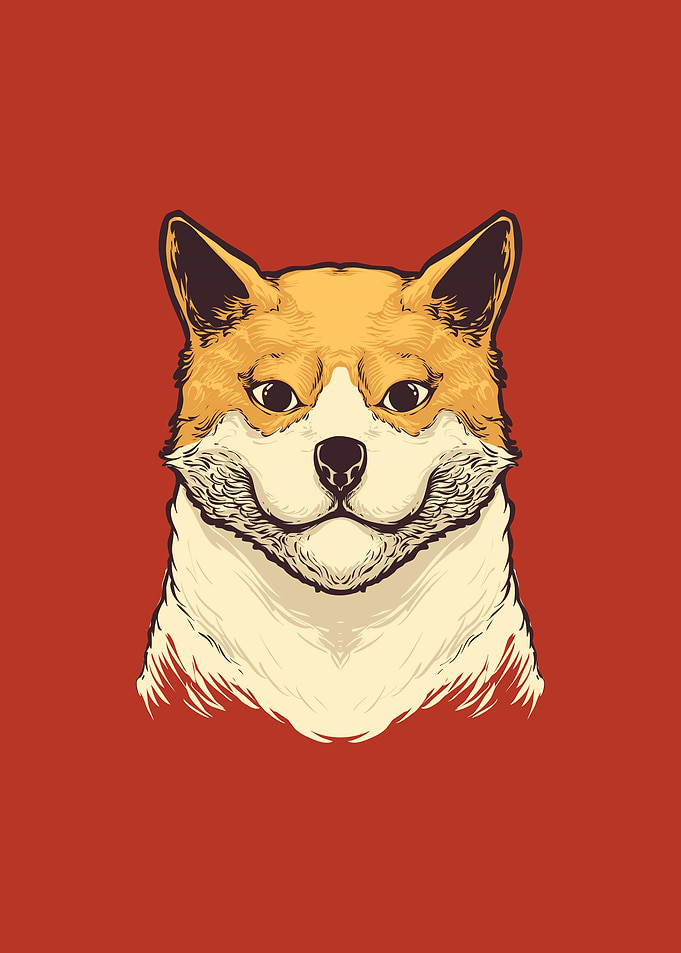 The dog head