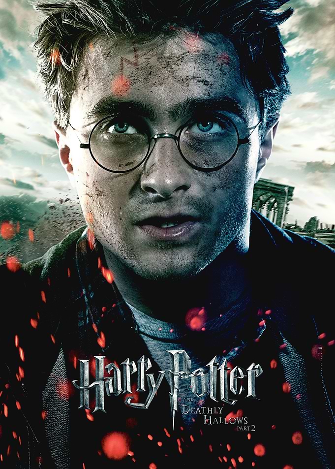 HP8 Harry Portrait