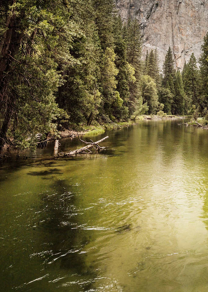 Yosemite National Park