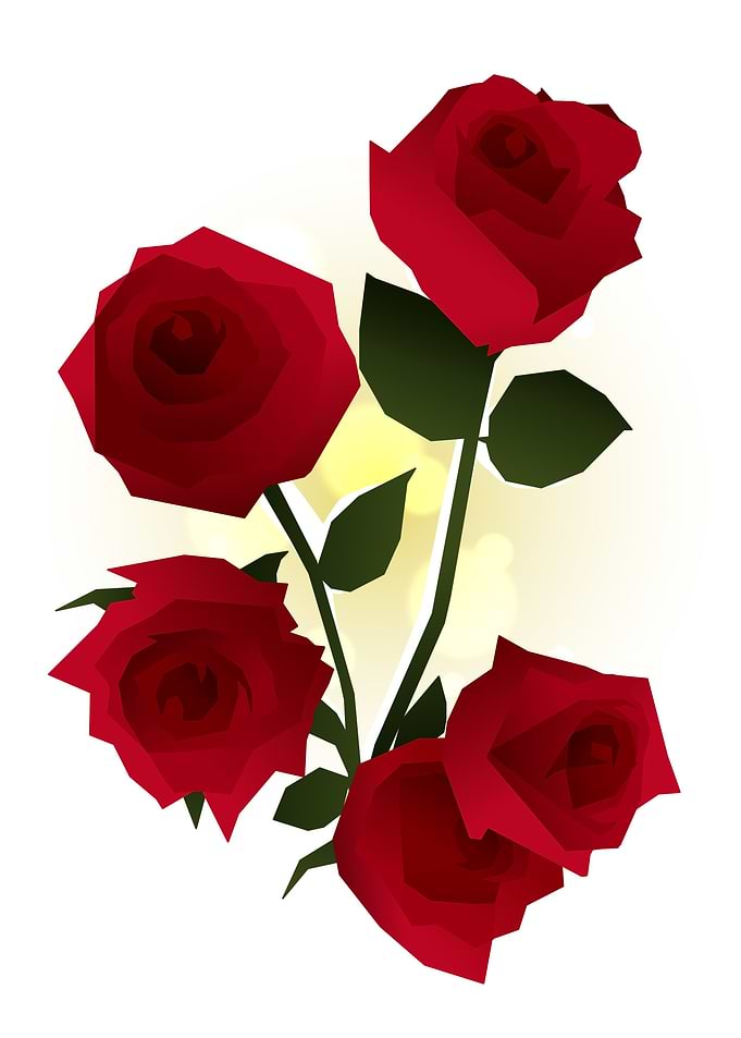 Rose Flower