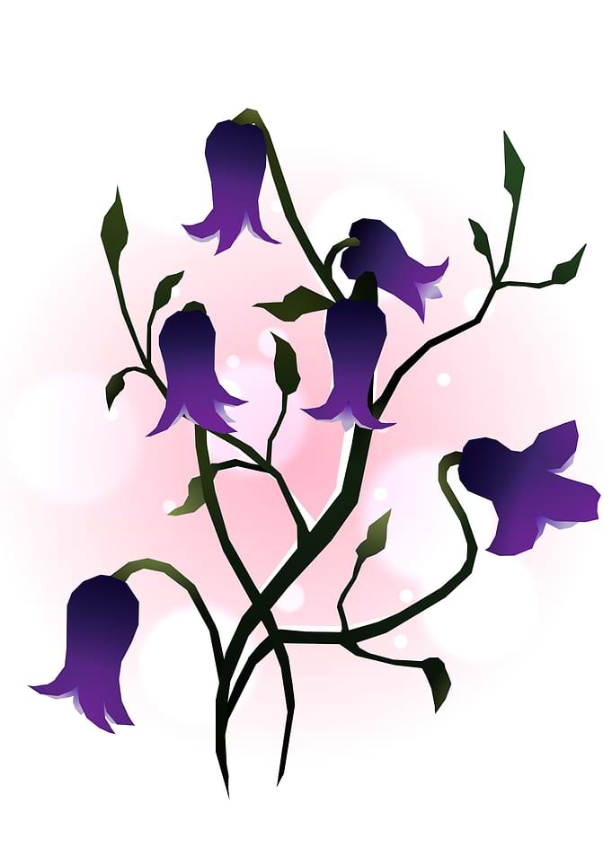 Clematis Rooguchi Flower