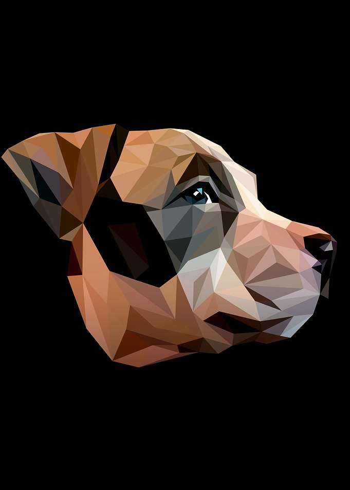 Staffordshire Bull Terrier
