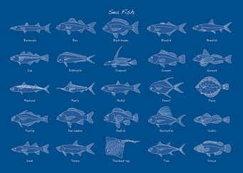 Sea Fish