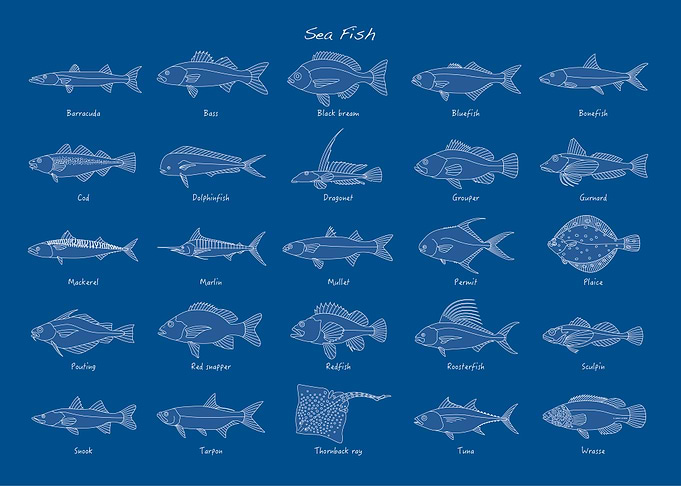 Sea Fish