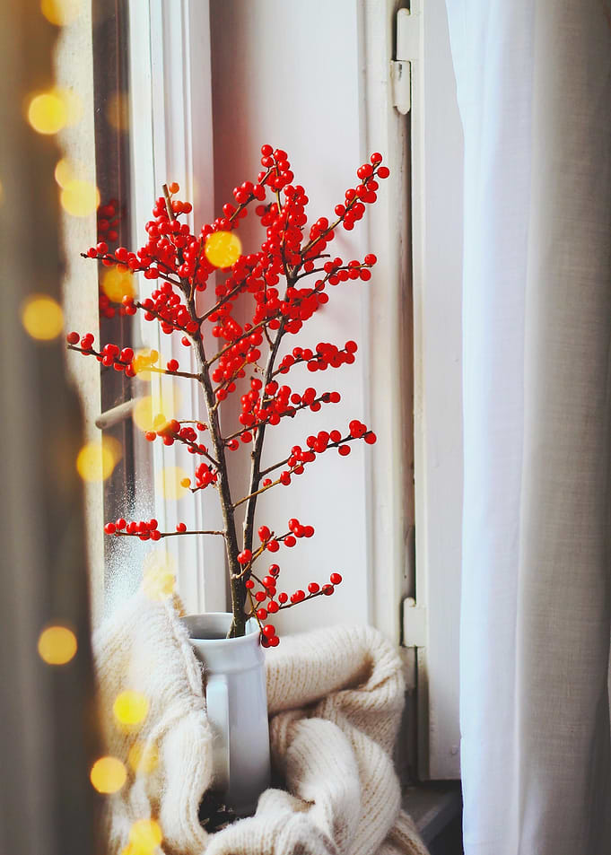 Christmas vibe