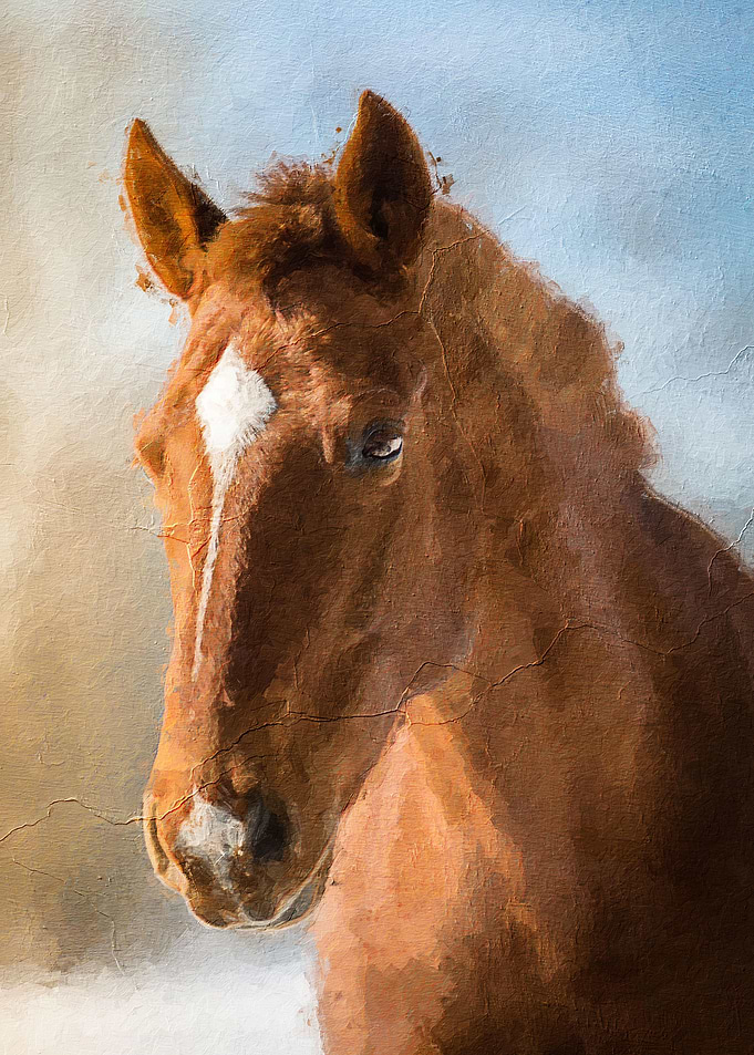Horse