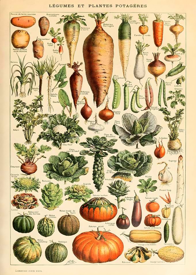 Fruit and Vegetables