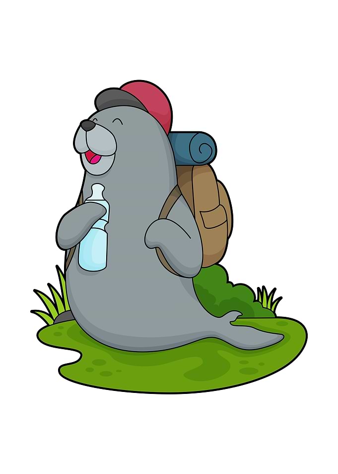 Seal Hiker Backpack