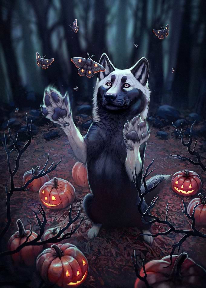 A Dark and Spooky Night