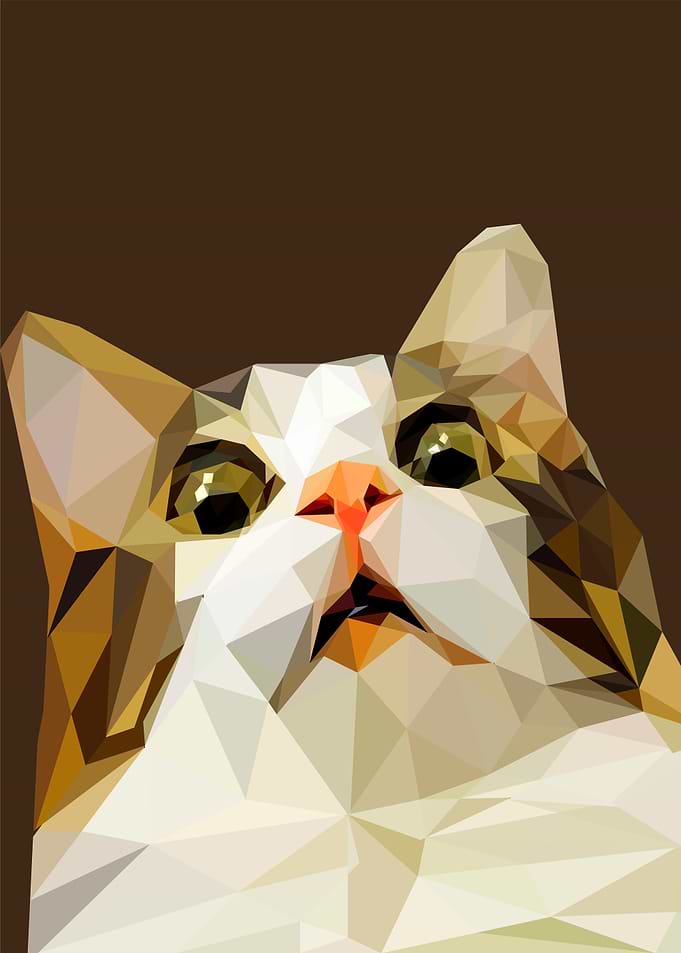 scary cat meme
