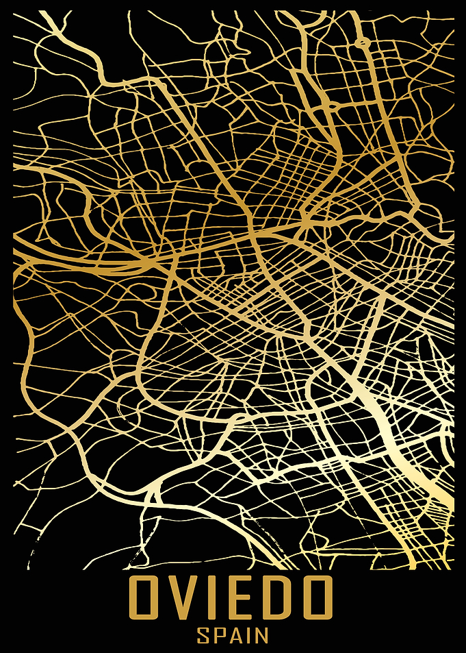Oviedo Spain City Map