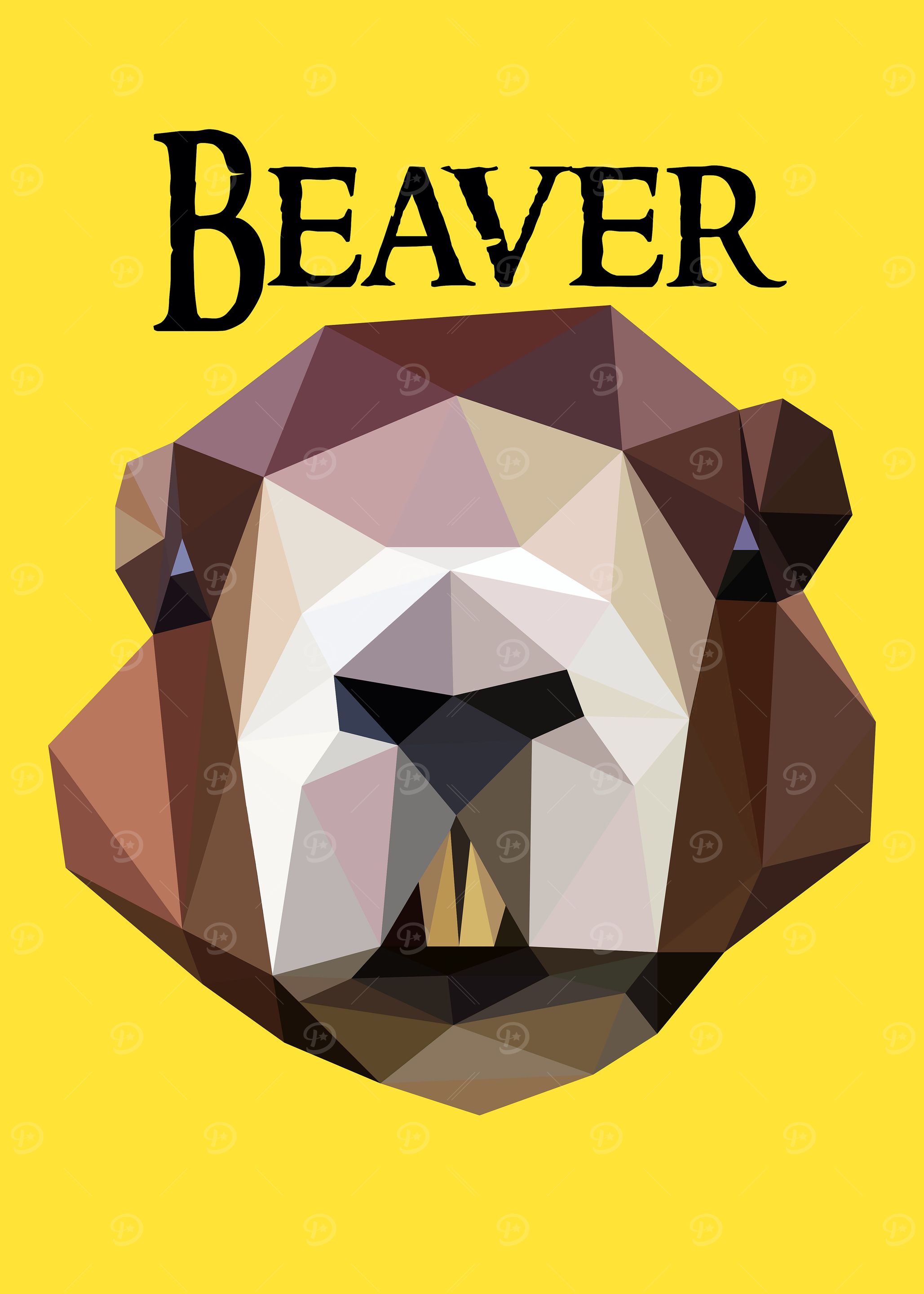 Beaver
