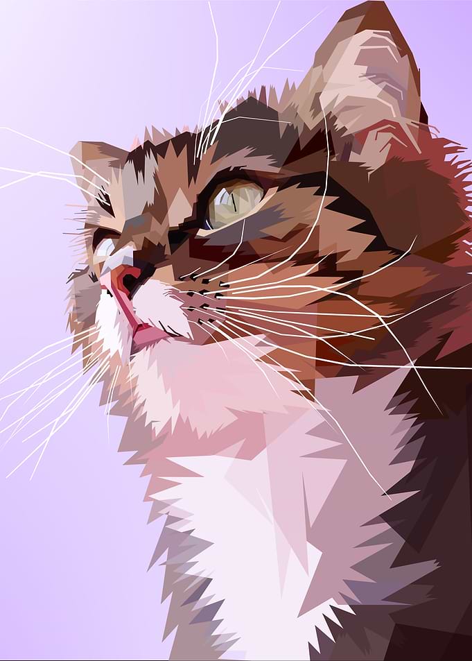 cat pink