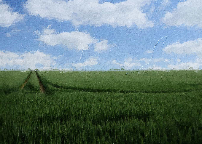 Landscapes
