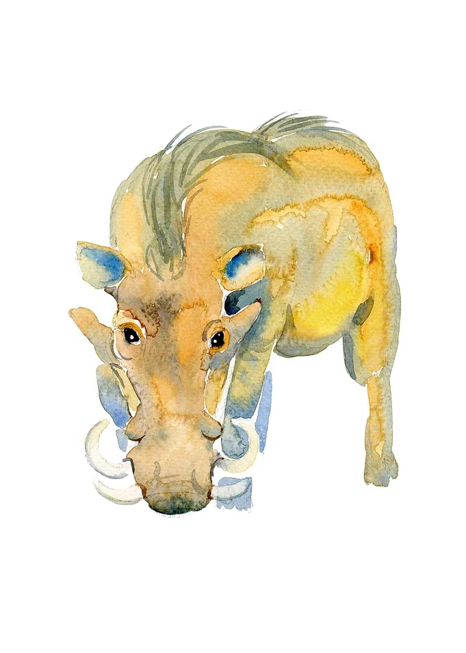 Warthog