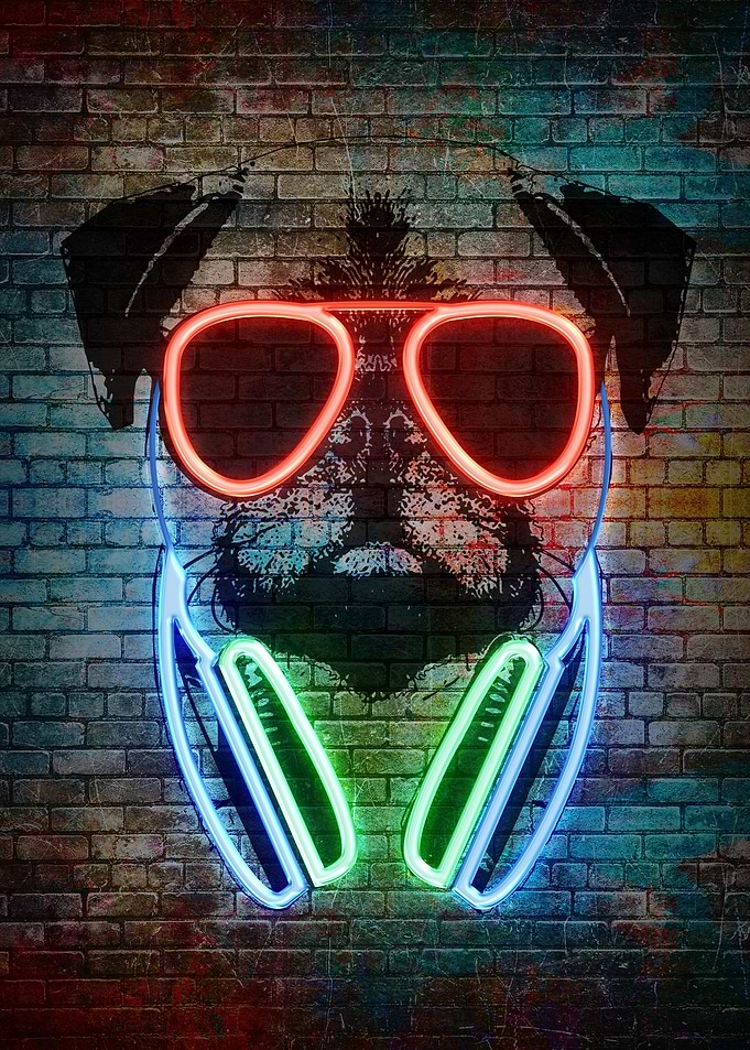 Pug dog with glasses