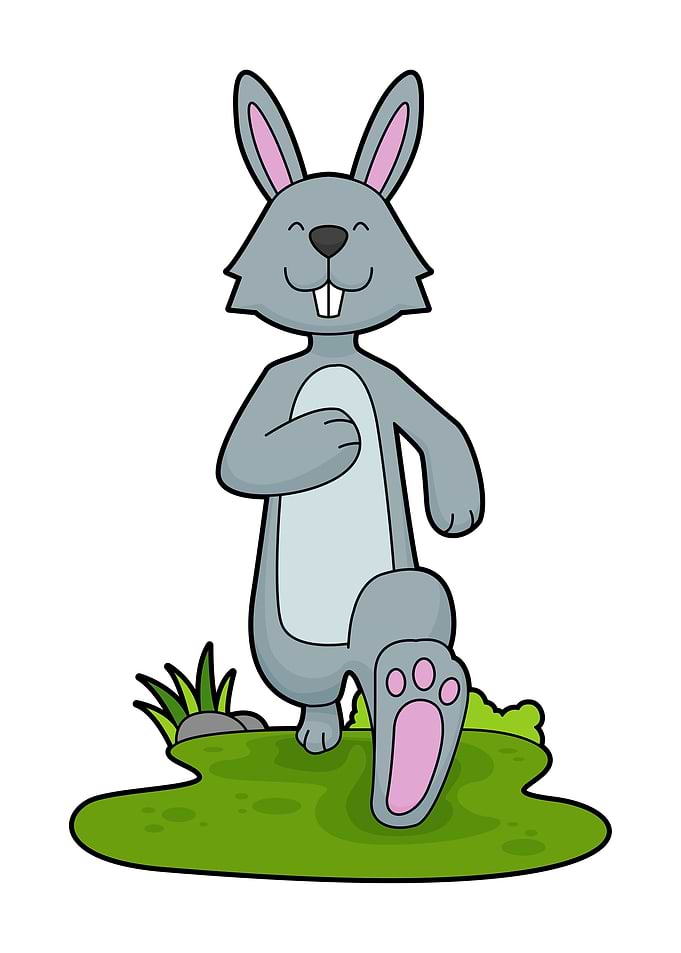 Rabbit Running Fitness