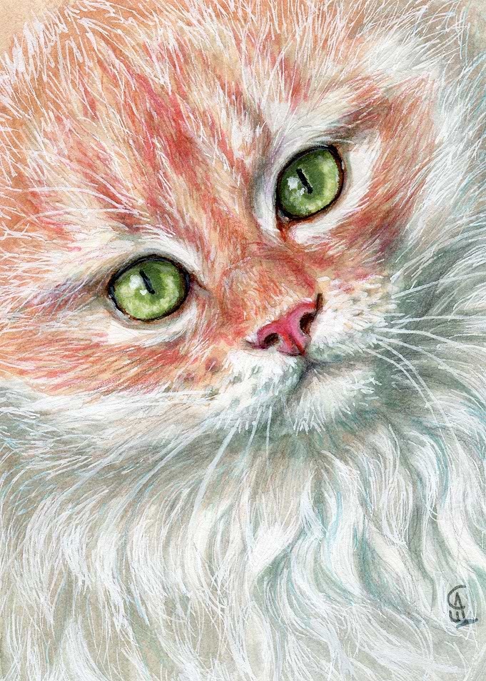 Sunny Cat 220205