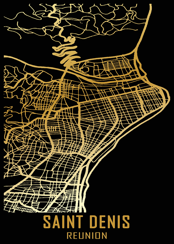 Saint Denis Reunion City