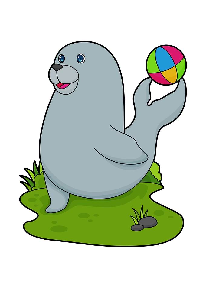 Seal Water polo