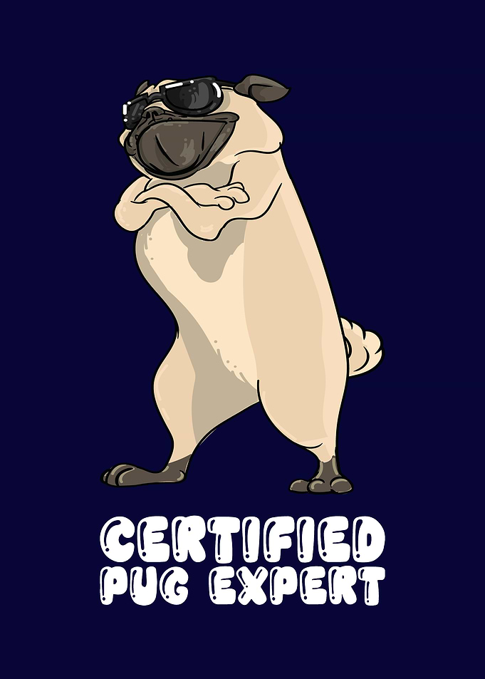 Certified Pug Expert