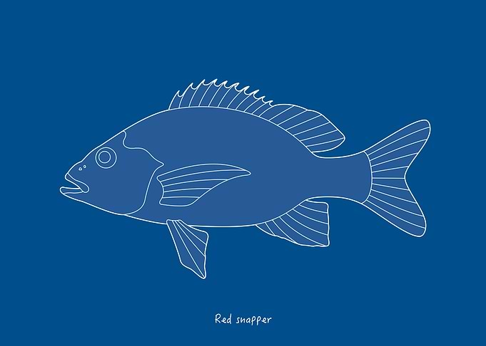 Sea Fish