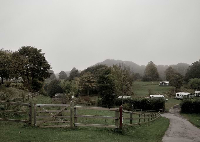 Foggy Countryside Forest