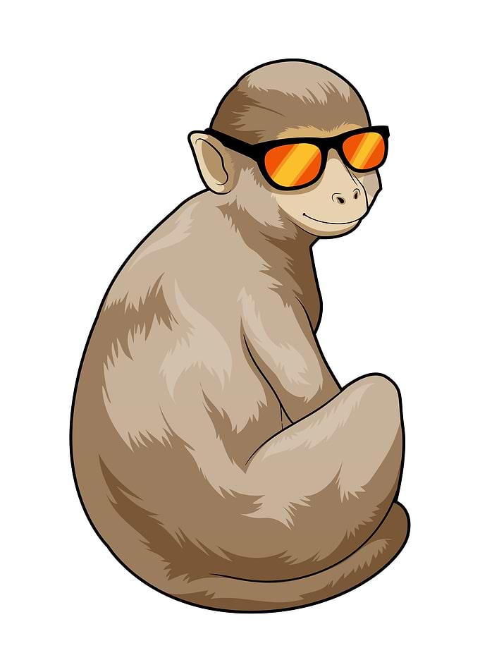 Monkey Sunglasses