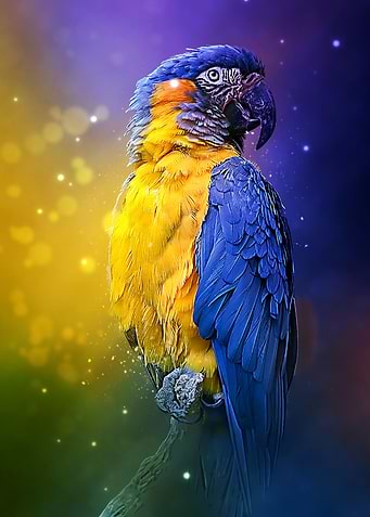 parrot lean