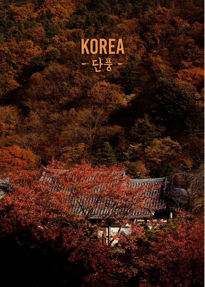 Autumn in Korea