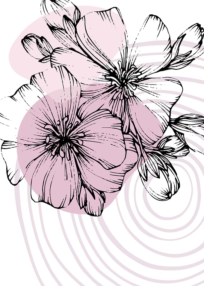 Botanical Flower Sakura