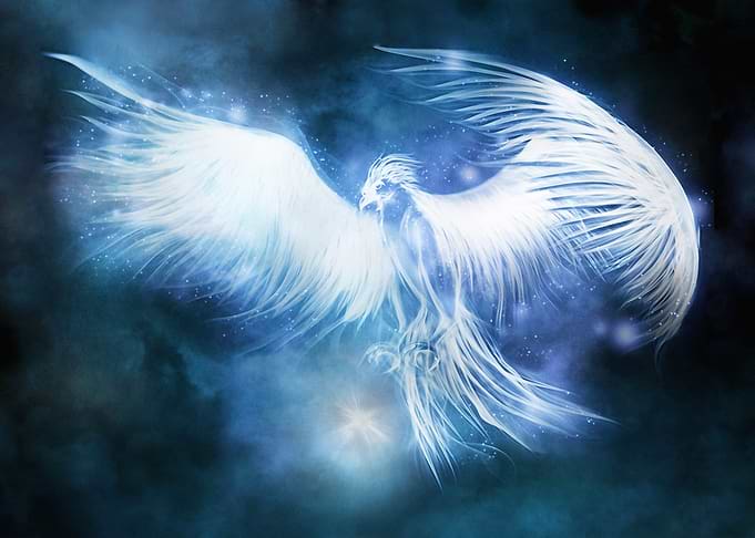 Phoenix Patronus