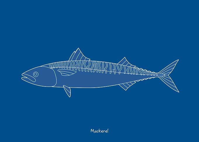 Sea Fish