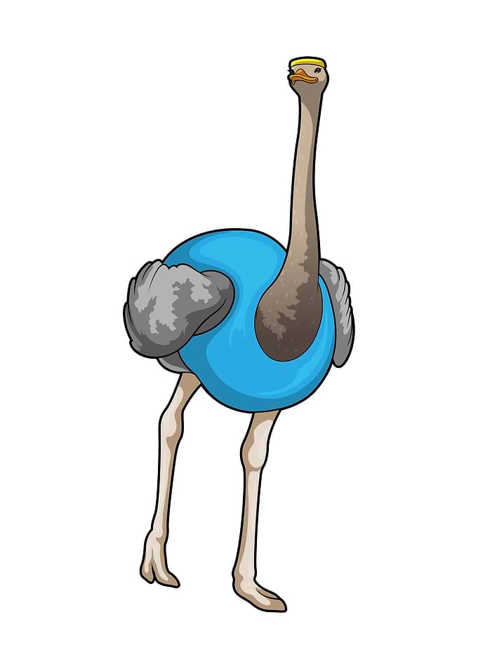 Ostrich Running Fitness