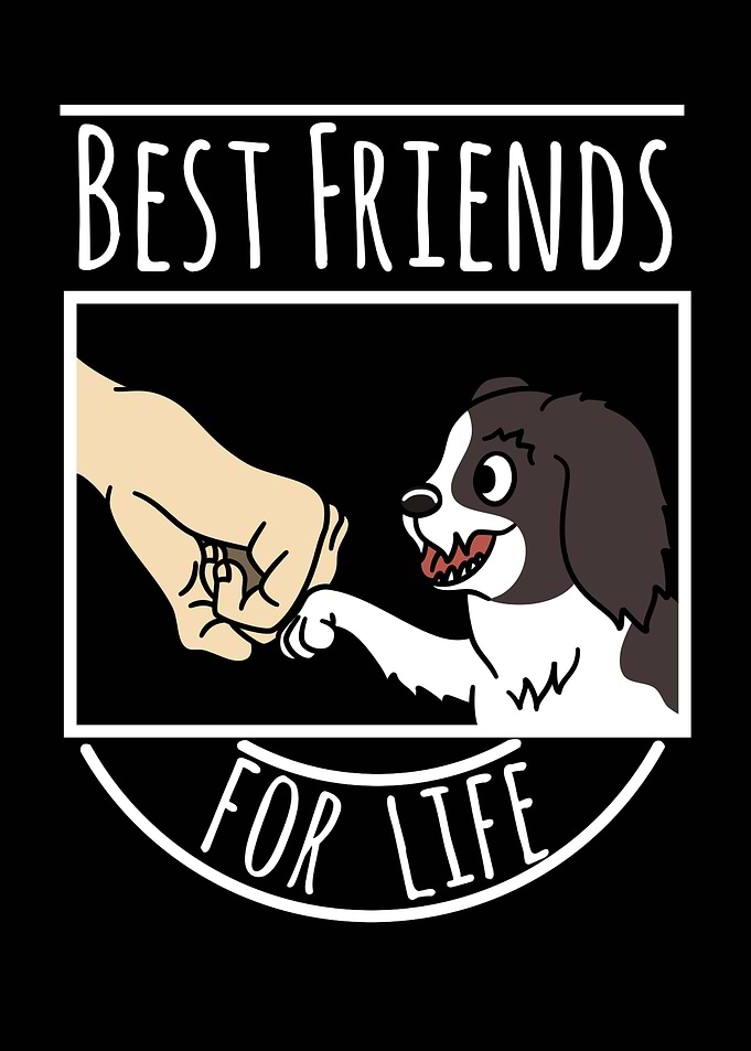 Havanese Best Friends
