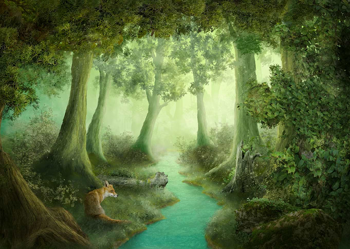 The old Forest
