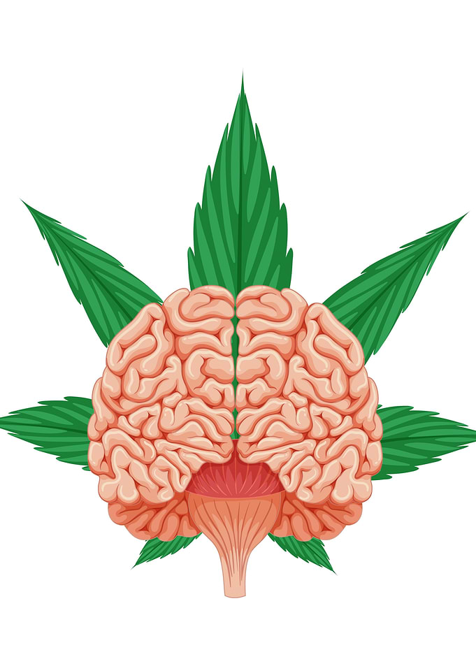 Weed