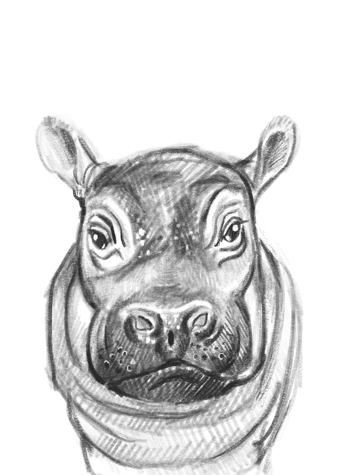 Hippo