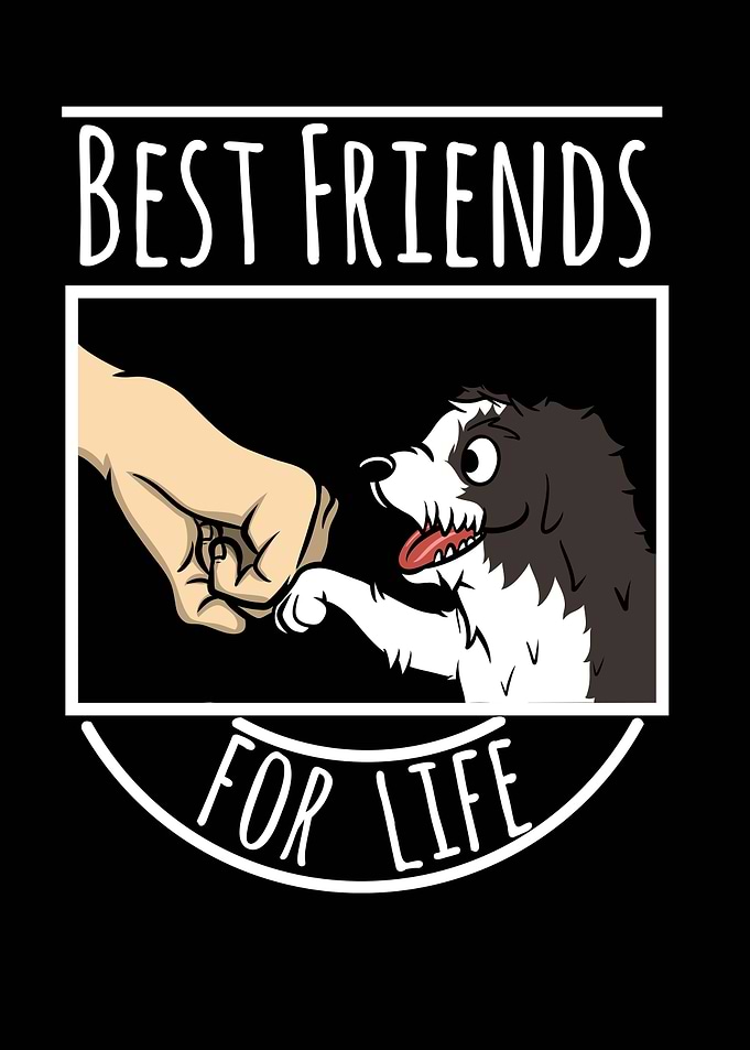 Havanese Best Friends
