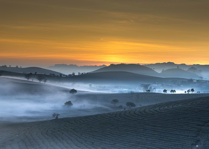 Landscapes