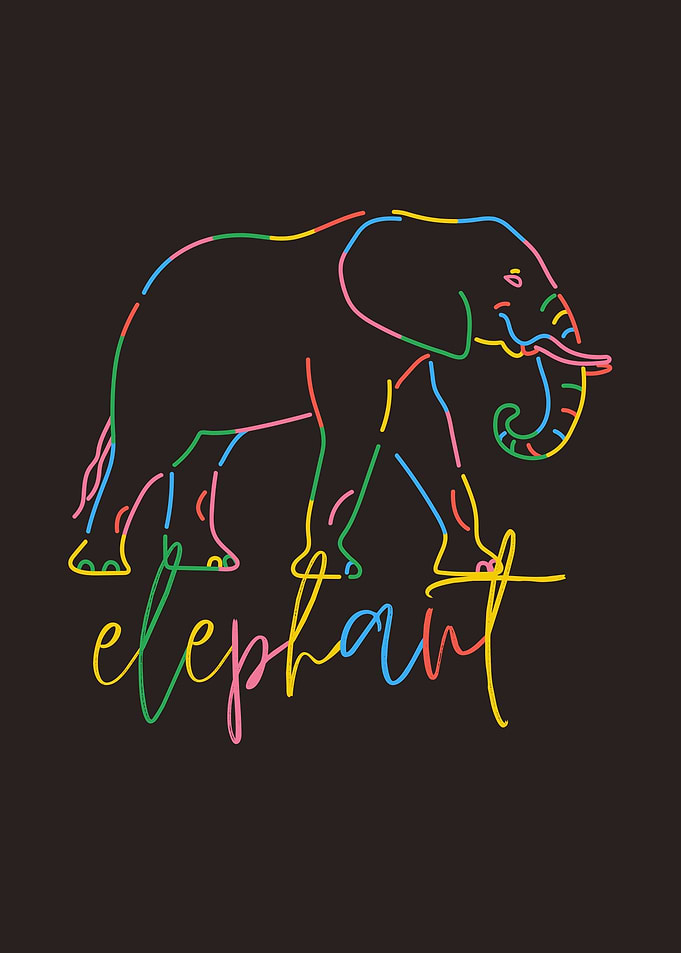 Multi Colored Elephant