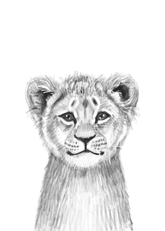 Lion Cub