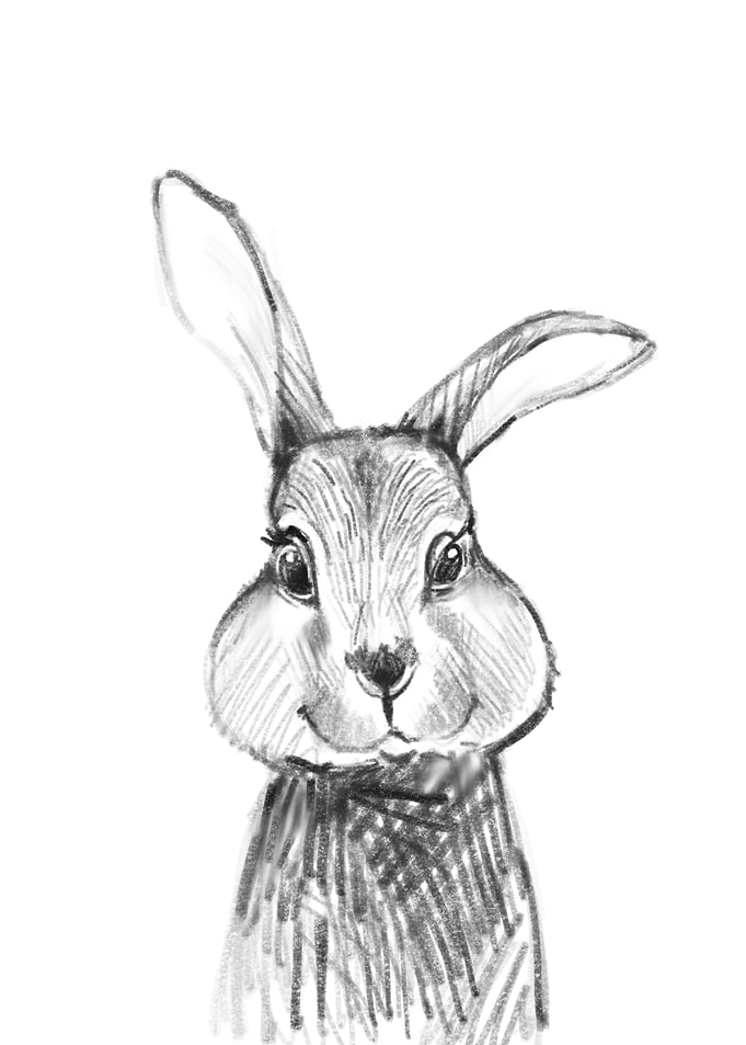 Rabbit