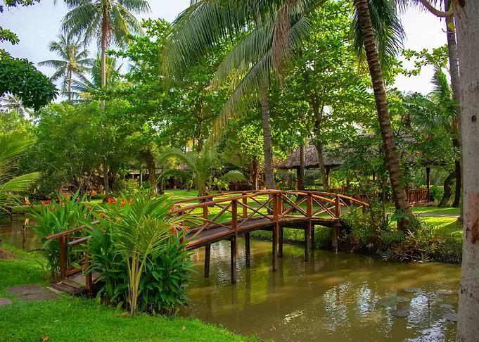 Vietnamese Nature