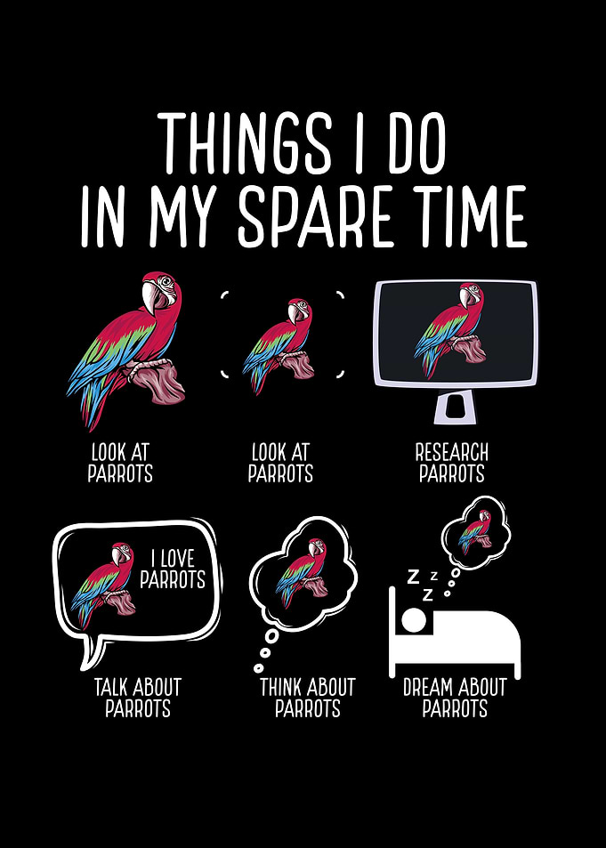 Things I do in my spare ti